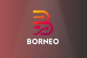 ♨️ Borneo Schematics Rent [Time: 30 Minutes] ♨️