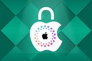 FMI OFF - iPad (8th generation) - WiFi Model Only - [iPad11,6]